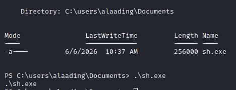 Payload Execution