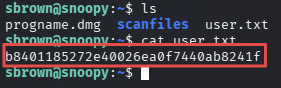 User flag retrieved from sbrown home directory